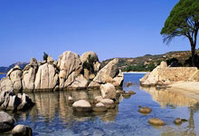 竞技宝电竞-包含Karsa爆冷击败塞尔维亚队，突破纪录引爆全场！的词条